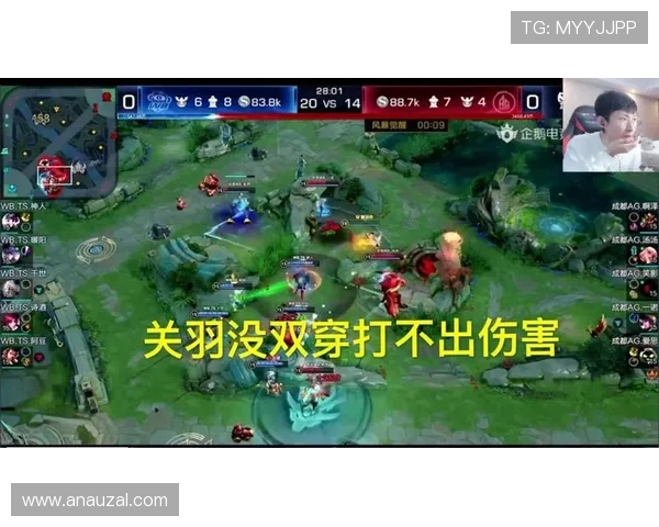 常见ag在线登陆错误原因分析及快速解决方案推荐